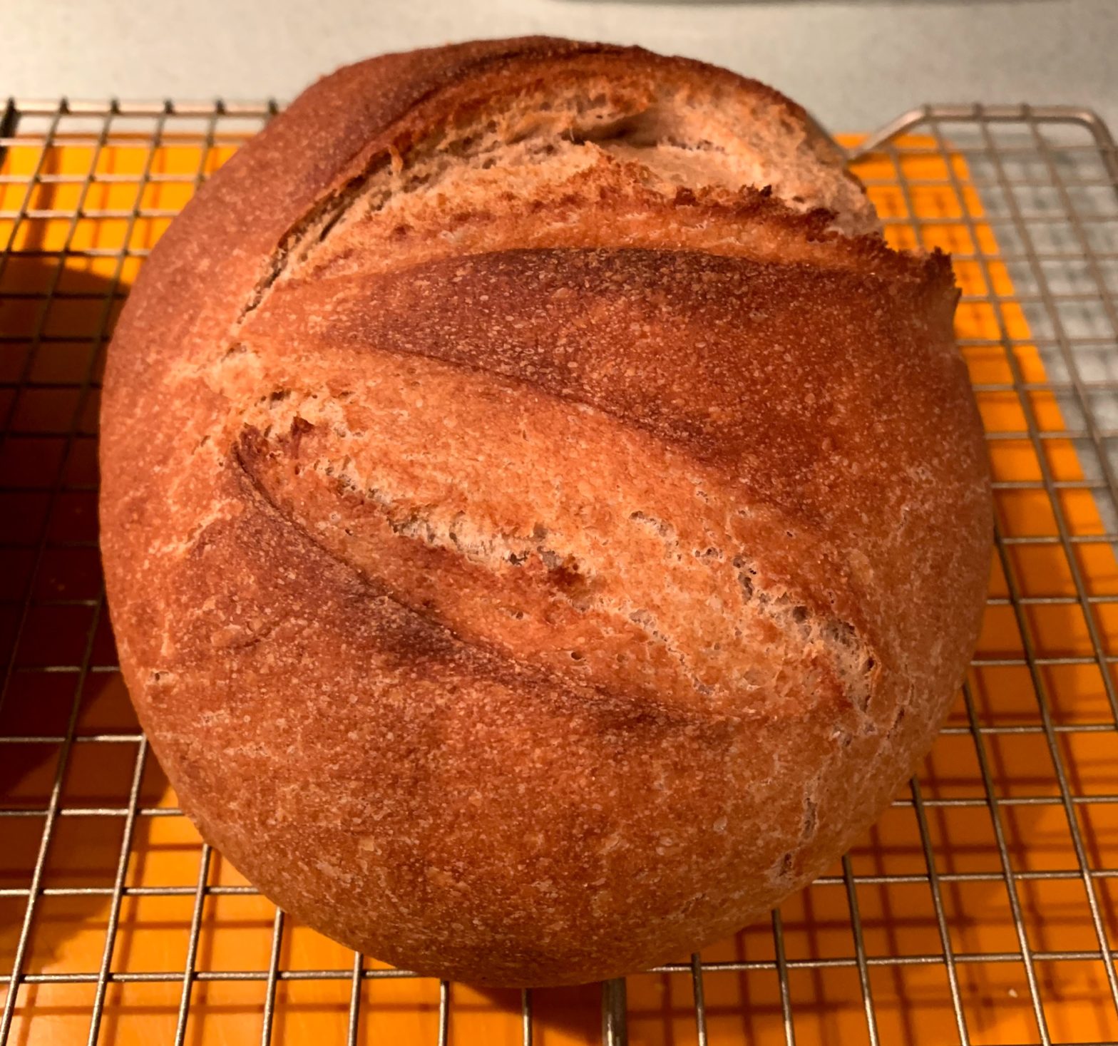 simple_bread_photo2